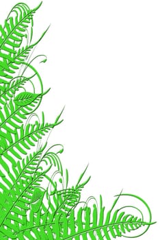 floral background