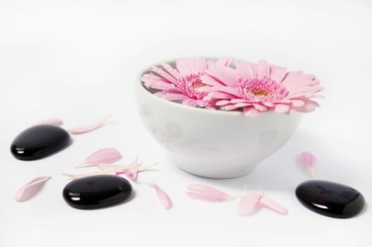 Gerbera Bowl with Stones