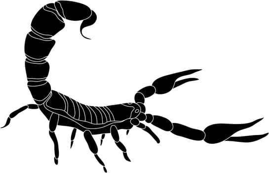 scorpion