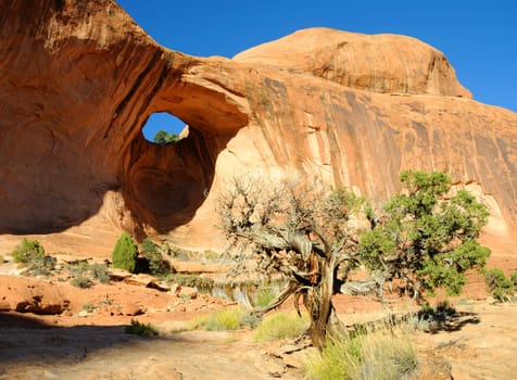 Bowtie Arch near Moab