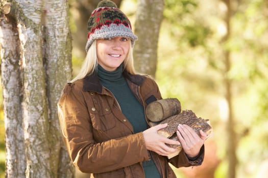 Woman Outdoors In Autumn Woodland Gathering Logs