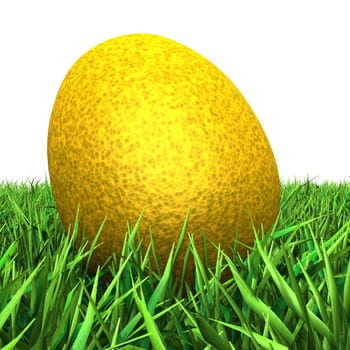 The golden egg in the grass