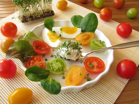 Cream cheese ball with garden cress