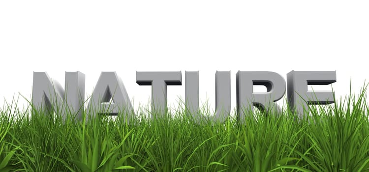 3D - NATURE Concept - green gras