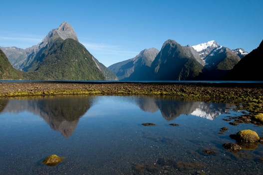 Milford Sound III
