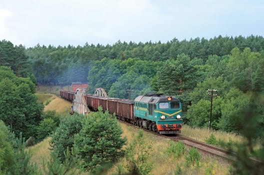 Freight train entering the forest