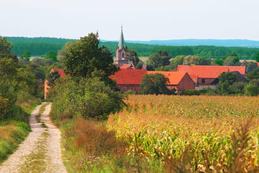 Rural summer landscape