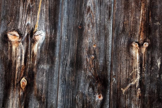 The Wooden Faces