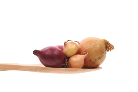 Onions on a wooden spoon
