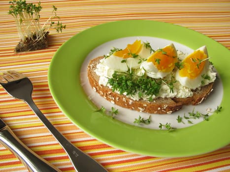Wholemeal spelt bread with cream cheese and egg