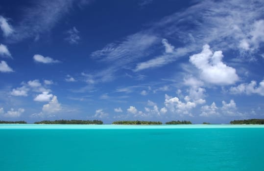 South Sea Motus