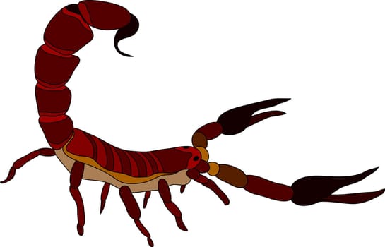 scorpion