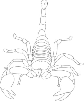 scorpion