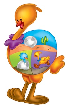 cute bird