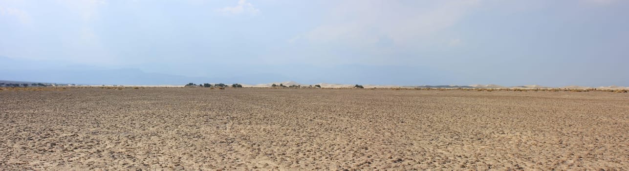 Desert panorama