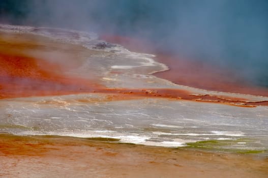 Champagne Pool