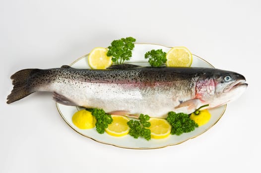 fish