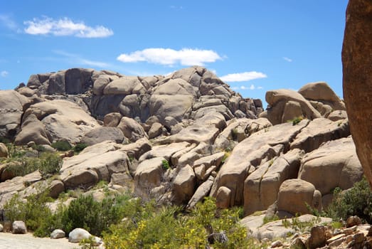 Joshua Tree National Park