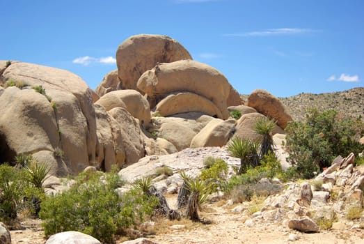 Joshua Tree National Park
