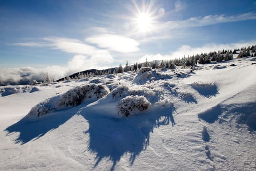 Beautiful winter landscape