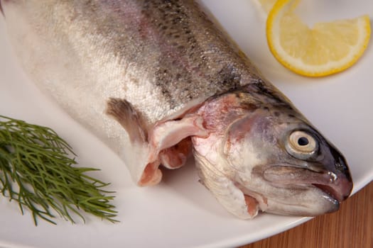 fish dinner of rainbow trout. fresh healthy meal on plate
