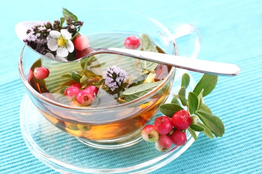 Vitality tea with lingonberry and cranberry and mint (vitality berry)