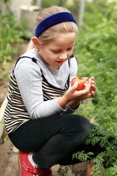 Cute girl holding the first tomato from the harvest