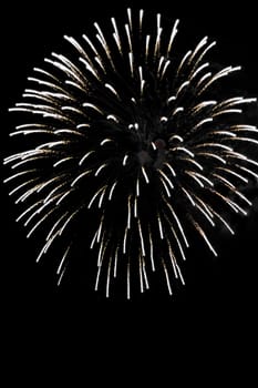 Fireworks exploding over a dark night sky.