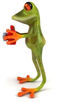 Fun frog photographer