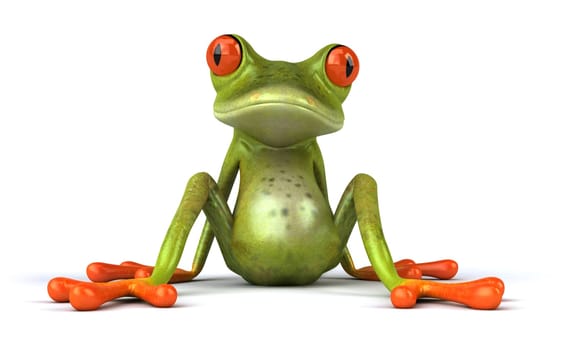 Fun frog