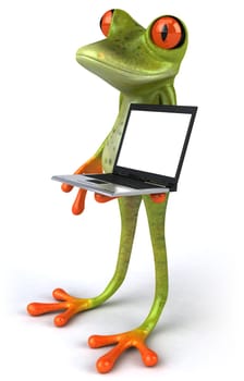 Fun frog