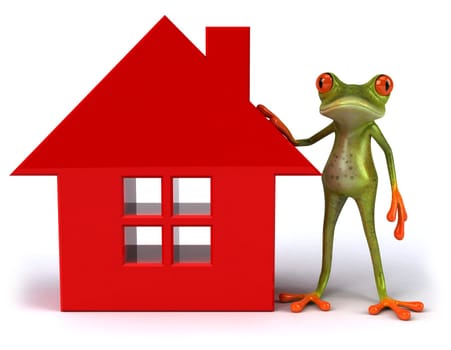 Fun frog with a house