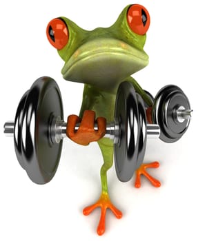Fun frog