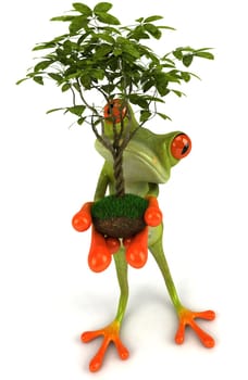 Fun frog