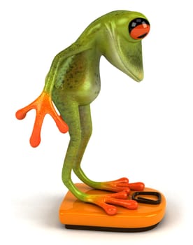 Frog
