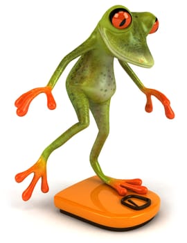 Frog