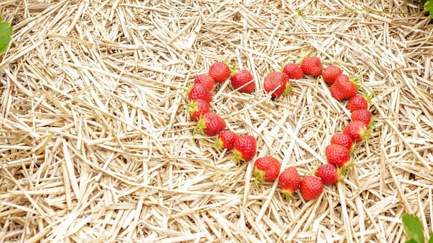 Photo of heart-shaped fresh strawberries on a straw background. Perfect for Valentine s Day or any occasion. Great for wallpaper, blogs, or marketing. Ideal for love-themed content.