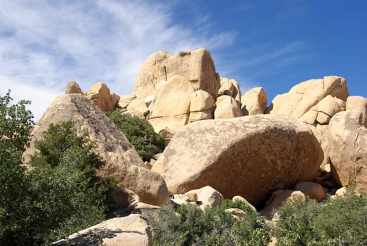 Joshua Tree National Park