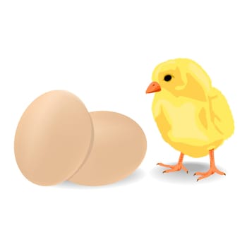 Little chicken with eggs, Easter elements over white