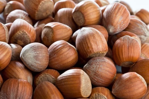 Hazelnuts