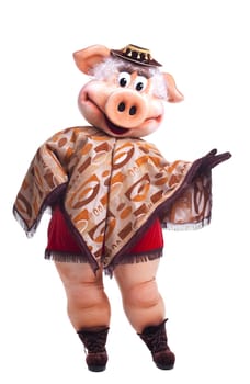 Pig mascot costume dance in poncho isolated