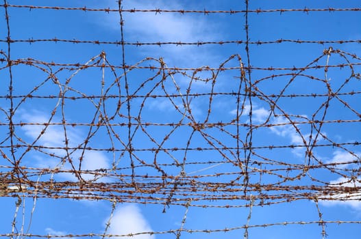 great image of barbed wire and blue sky