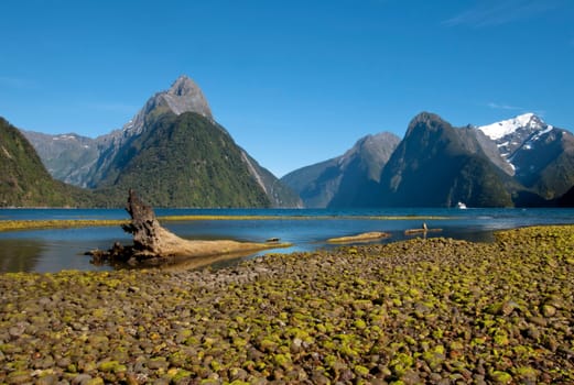 Fiordland