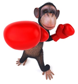 Monkey