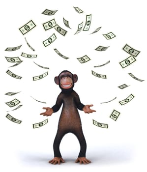 Monkey