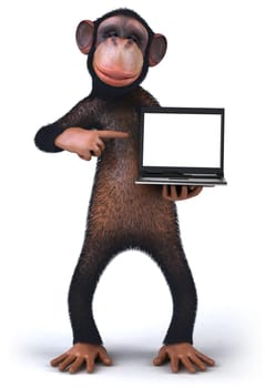 Monkey