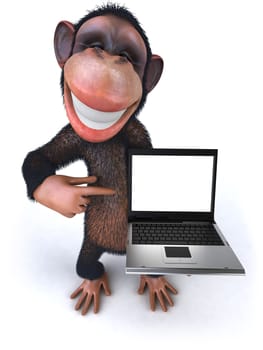 Monkey