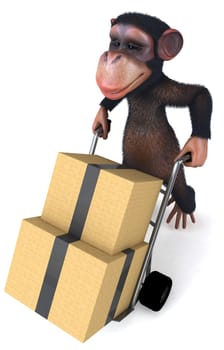 Monkey