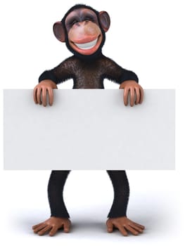 Monkey