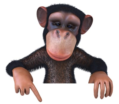Monkey